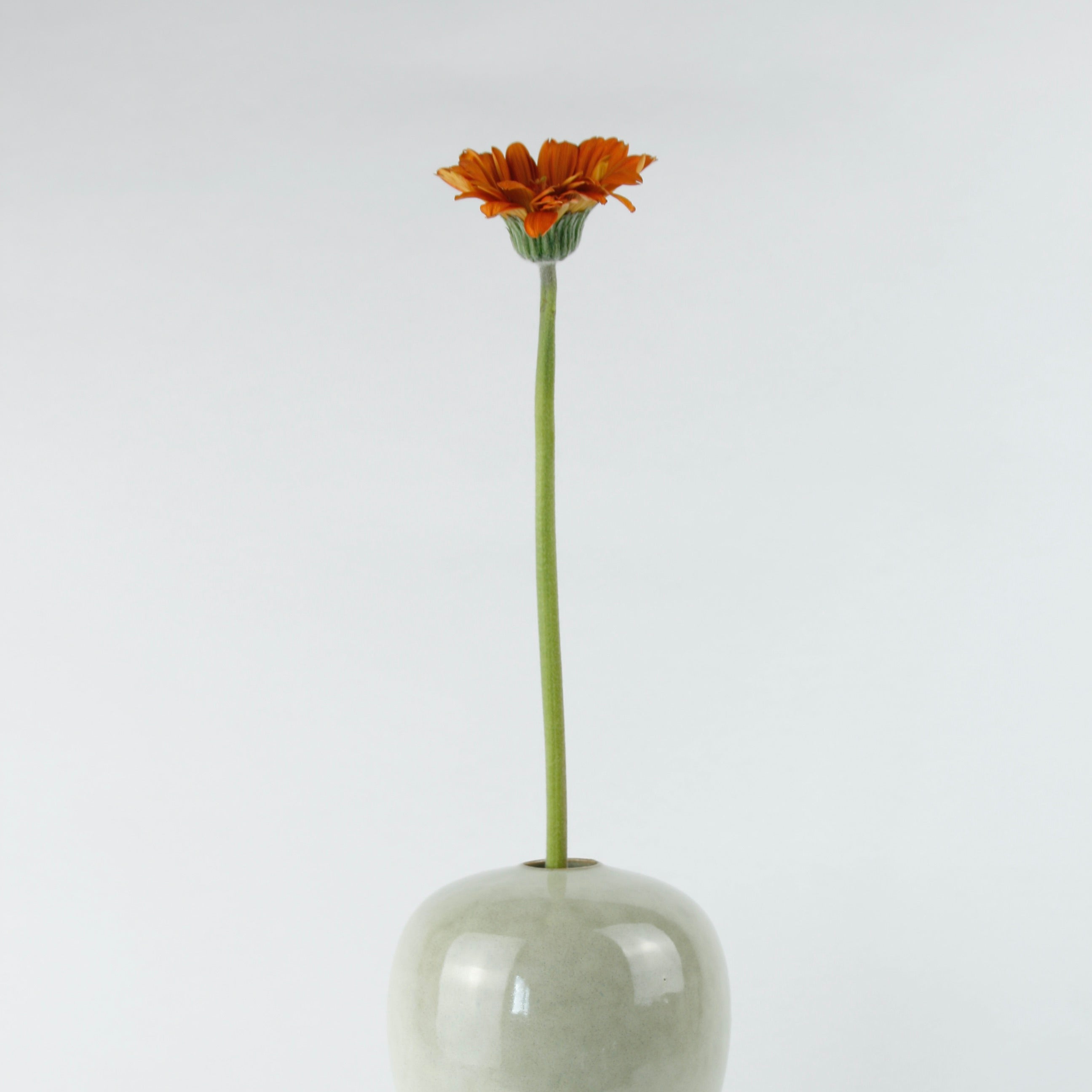 Mittlere vase